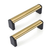 Brass cabinet handles